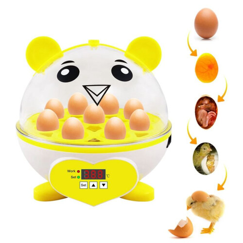 9 Incubator, Incubators for Hatching Eggs, Automatic with Temperature Control, Incubator for Hatching Chicken US Plug 2