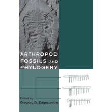 Anthropod Fossils & Phylogeny