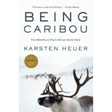 Being Caribou