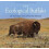 The Ecological Buffalo 1