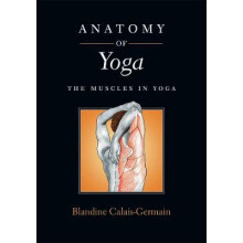Anatomy of Yoga