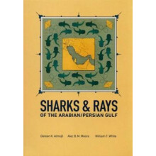 Sharks & Rays of the Arabian/Persian Gulf