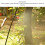 50m Drip Irrigation System with Timer, Adjustable Watering for Garden 6