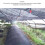 50m Drip Irrigation System with Timer, Adjustable Watering for Garden 7