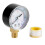 ECX270861 Filtertryckmätare 0-60 PSI för Select  Sand och de-Filter 1