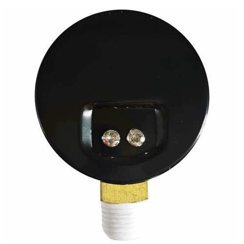 ECX270861 Filtertryckmätare 0-60 PSI för Select  Sand och de-Filter 1