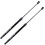 68282670AA 1Pair Rear Tailgate  Trunk Lift Support for   2018-2023 1