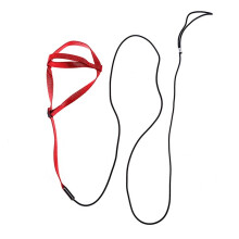 Training Flying Traction Rope Anti-Bite Training Rope Bird Flying Rope Harness Bird Harness Leash D