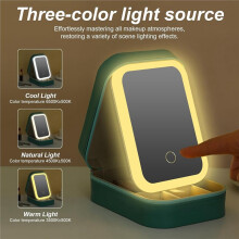 Kleine Reis-LED-Make-Upspiegel met 3 Instelbare Lichtkleuren, -Cosmeticakoffer Groen