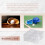 4Pcs Baseball Display Case,UV Protected Dustproof Acrylic Display Boxes,Clear Display Case for Baseball Memorabilia 4