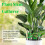 Reusable Plant Stem Folding Frame Gardening Tools Stakeless Vine Stand Plant Stem Support Red 3
