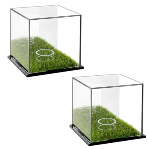 Display Box Acrylic  Stand Transparent Display Box Square Display Box with Green Base