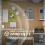 Waterless Fragrance Diffuser 300ml WIFI Control Flavoring Diffuser Timer Function Air Freshener EU Plug 4