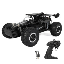 Voiture RC 1:16 2WD avec Lumière LED 2,4 G 20 /H Haute Vitesse Tout-Terrain Escalade Télécommande Voiture Jouet Cadeaux Noir