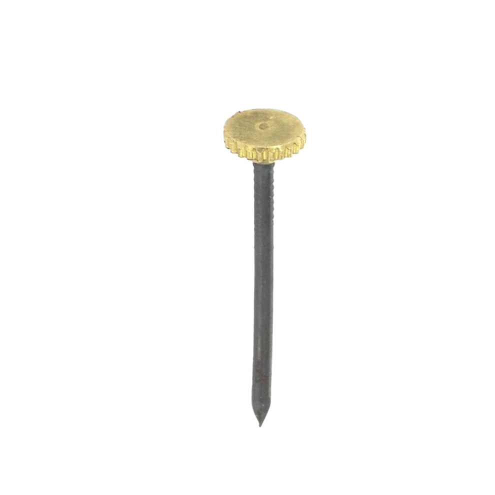 Securpak Brass Headed Picture Pins (Pack Of 10) 5063425168033