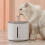 Stainless Steel Automatic Cat Drinker 2L Flow Drinker for Pets Drinking Fountain Dispenser with Sensor,AC 220V EU Plug. 2