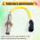 116-6680 1166680 New Speed Sensor for  C4 C6.C7 Engine Sensor 5