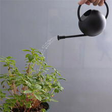 Arrosoir à Fleurs pour Plantes D'Intérieur et Jardin, Bouilloire à Long Bec, Élégante pour Outil de Jardin