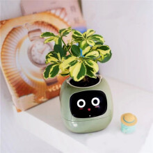 IntelligentFlowerpot Plant Robot Plant Maintenance Customization Robot Rich Expression Interaction CompanionGift,A