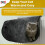 Cat Radiator Bed Warm and Cozy with Washable Cover 5