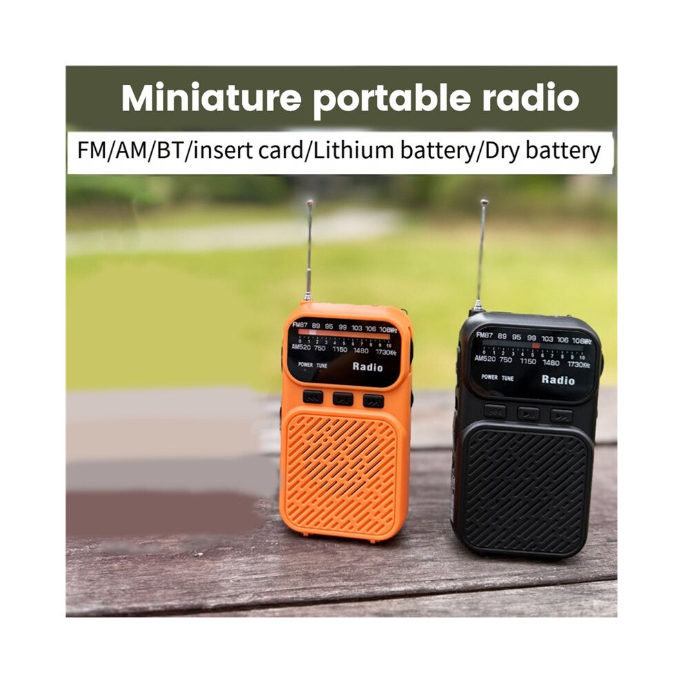 Portable Dsp Radio Rechargeable Pocket Fm/Am Radios Speaker Support Tf Card Headset Music Player A 4712538947950
