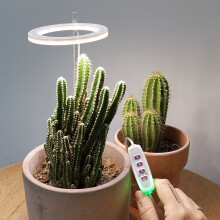 LED Wachsen Licht Voll Grow Lampe USB Angel Lampe für Sukkulenten, Blumen Pflanzen Wachstum (Sonnen Schein)
