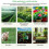 Garden Soil PH Meter Moisture Tester Soil Analyzer USB for Android Soil Nutrient Sensor for Greenhouse Home Farmer 6