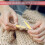 Interchangeable Circular Knitting Needles Set - 10 Sizes 3.75mm-10mm, Plastic Knitting Tools for DIY Hand Knitting 6