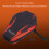 Case B EVA-Paddel-Etui, Extra robust, Passt 2 Paddel 4