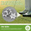 14 St Golfsko Spike Replacement Cleat Twist Screw Studs Anti Slip 3