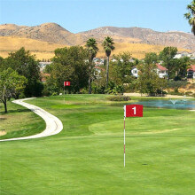 Flagstick Flag Putting Flag for Backyard Practice Putting Green