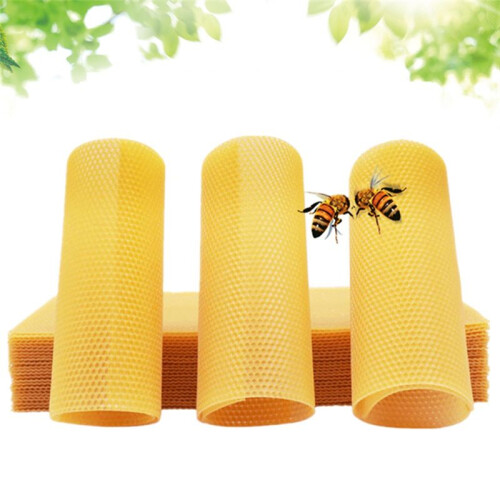 30pcs Bee Hive Foundation Sheets, Deep Beeswax Foundation Sheets for Bee Frames Beekeeping Tools 41.5x19.5cm 2