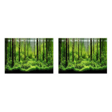 AvhäFtande Undervattensskogsbakgrundsaffisch Bakgrundsdekor Aper Underwater World Dekorativt KlistermäRke Fish Tank Stickers