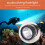 Scuba Deep Diving Light Professional Powerful Flashlight Underwater Waterproof LED Diver Light,Black 2