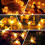 50 LED Solar Honeybee String Lights 2