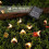 50 LED Solar Honeybee String Lights 3