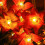 50 LED Solar Honeybee String Lights 5