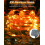 2x Outdoor Solar 120 LED Copper Lights Orange 3