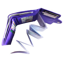 Big Skinny Plastic Accordion Photo Sleeve Insert for Slim Wallet