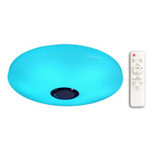 12 Inch Ceiling Light with Remote Control with RGB Speaker 24W LED Flush Mount Shower Light Fixture EU Plug