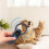 Animal RFID Reader 134.2KHz 125kHz  Cat Dog Microchip Scanner FDX-B Glass Chip Identification Tag Reader 6