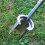 Garden Transplanter Tool Versatile Seedling Bulb Planter, Handheld Soil Sampler Planting, Fruit Trees Lawn Care Tool 4