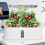 Hydroponics Growing System Full-Spectrum LED Plant Growth Light Intelligent Vegetable Germination Kit EU Plug Black 9