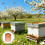 2000Pièces Mini Coupes Plastiques Café Outils Apiculture 9