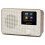 LEMEGA IR1 Portable Internet Radio with DAB,Podcast Player,Bluetooth,Walnut 1