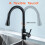 HASVREOG Kitchen Pull-Down Faucet with High Arc Spout, Dual Function Spray Head,High - Performance Pull - Out Kitchen Sink Faucet,Easy Installation (M 4