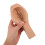 4Pcs Solid Wood Steamed Bun Mold Tool Light Brown for Kitchen Baking 11