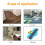 10 Polegadas Contour Gauge Duplicator Ceramic Tile Carpet Cutting Template Perfil Medição Ângulo Régua Contour Duplicator 3