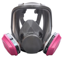 Filter-Schutzmaske Modell 6800 mit 2x60921 Filterpatronen, Gasmaske für Spritzlackierungen Gegen Formaldehyd und Andere Schadstoffe