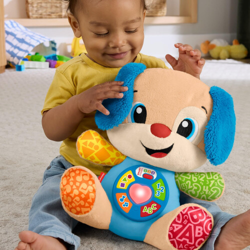Fisher-Price Fisher-Price, Toy, JFD21 2